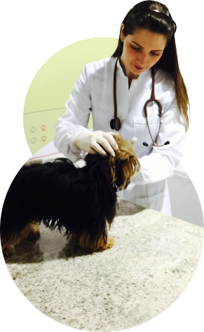 Serviços Veterinários Clínica Da Vinci - Curitiba